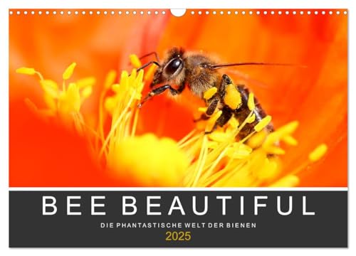 Bee Beautiful - Die phantastische Welt der Bienen (Wandkalender 2025 DIN A3 quer), CALVENDO Monatskalender von CALVENDO