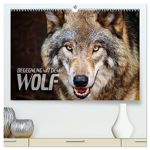 Begegnung mit dem Wolf (hochwertiger Premium Wandkalender 2025 DIN A2 quer), Kunstdruck in Hochglanz von CALVENDO