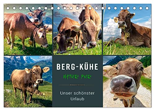 Berg-Kühe, Natur pur - unser schönster Urlaub (Tischkalender 2025 DIN A5 quer), CALVENDO Monatskalender von CALVENDO