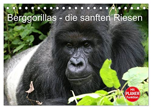 Berggorillas - die sanften Riesen (Tischkalender 2025 DIN A5 quer), CALVENDO Monatskalender von CALVENDO