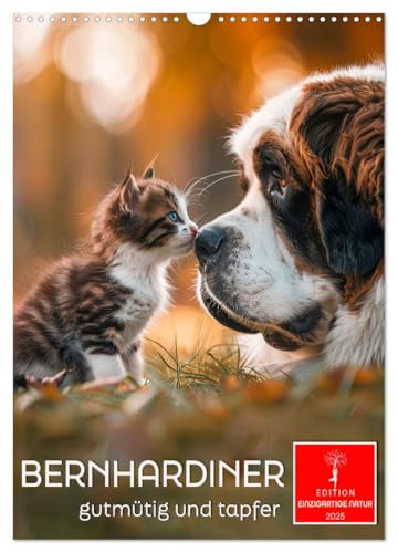 Bernhardiner - gutmütig und tapfer (Wandkalender 2025 DIN A3 hoch), CALVENDO Monatskalender