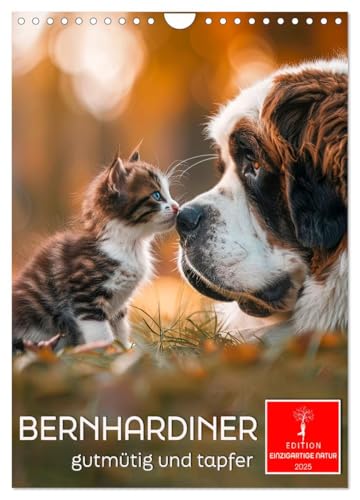 Bernhardiner - gutmütig und tapfer (Wandkalender 2025 DIN A4 hoch), CALVENDO Monatskalender