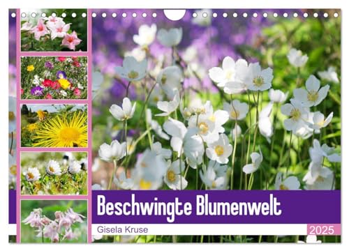 Beschwingte Blumenwelt (Wandkalender 2025 DIN A4 quer), CALVENDO Monatskalender von CALVENDO