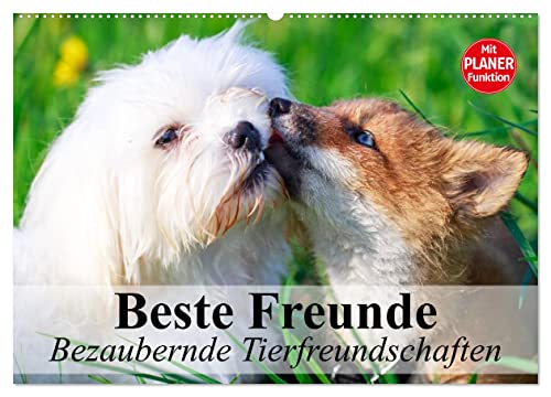 Beste Freunde. Bezaubernde Tierfreundschaften (Wandkalender 2025 DIN A2 quer), CALVENDO Monatskalender von CALVENDO