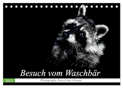 Besuch vom Waschbär (Tischkalender 2025 DIN A5 quer), CALVENDO Monatskalender von CALVENDO