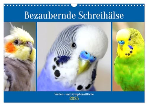 Bezaubernde Schreihälse. Wellen- und Nymphensittiche (Wandkalender 2025 DIN A3 quer), CALVENDO Monatskalender von CALVENDO