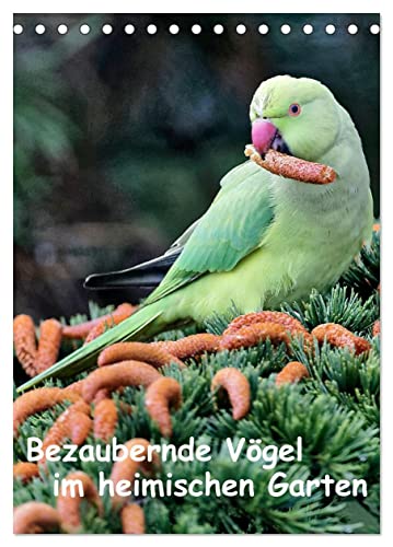 Bezaubernde Vögel im heimischen Garten (Tischkalender 2025 DIN A5 hoch), CALVENDO Monatskalender von CALVENDO