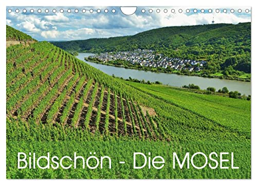 Bildschön - Die Mosel (Wandkalender 2026 DIN A4 quer), CALVENDO Monatskalender: Die sonnige Terrassenmosel lädt ein (CALVENDO Orte) von Calvendo