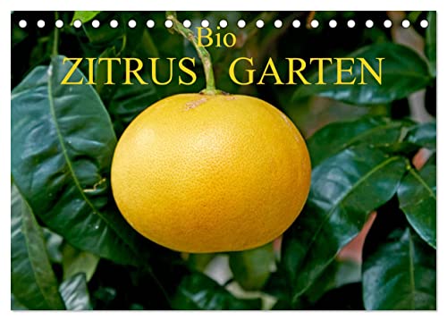Bio Zitrus Garten (Tischkalender 2025 DIN A5 quer), CALVENDO Monatskalender von CALVENDO