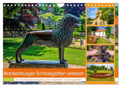 Blankenburger Schlossgärten erleben (Wandkalender 2025 DIN A4 quer), CALVENDO Monatskalender von CALVENDO