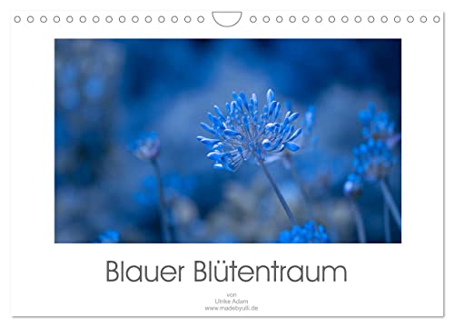 Blauer Blütentraum (Wandkalender 2025 DIN A4 quer), CALVENDO Monatskalender von CALVENDO