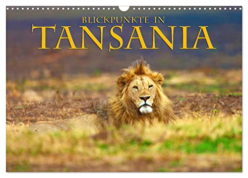 Blickpunkte Tansanias (Wandkalender 2025 DIN A3 quer), CALVENDO Monatskalender von CALVENDO