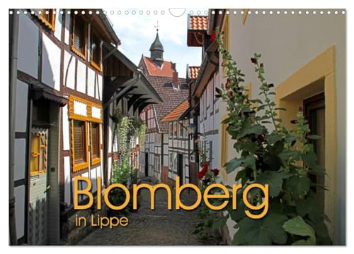 Blomberg in Lippe (Wandkalender 2025 DIN A3 quer), CALVENDO Monatskalender von CALVENDO