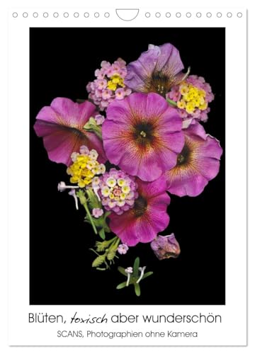 Blüten, toxisch aber wunderschön (Wandkalender 2026 DIN A4 hoch), CALVENDO Monatskalender von CALVENDO