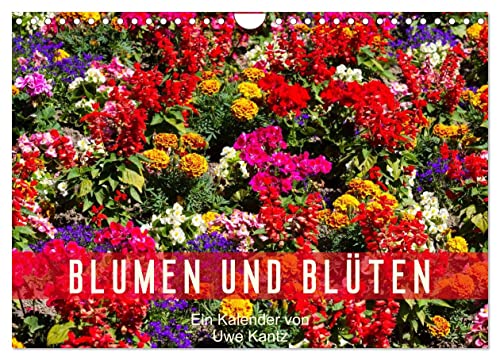 Blumen und Blüten (Wandkalender 2025 DIN A4 quer), CALVENDO Monatskalender von CALVENDO