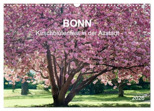 Bonn - Kirschblütenfest in der Altstadt (Wandkalender 2026 DIN A3 quer), CALVENDO Monatskalender: Blühende Zierkirschenbäume in der Bonner Altstadt (CALVENDO Orte) von Calvendo
