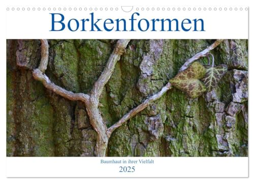 Borkenformen (Wandkalender 2025 DIN A3 quer), CALVENDO Monatskalender von CALVENDO
