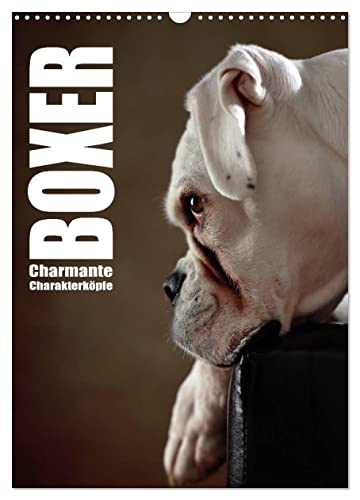 Boxer - Charmante Charakterköpfe (Wandkalender 2025 DIN A3 hoch), CALVENDO Monatskalender von CALVENDO