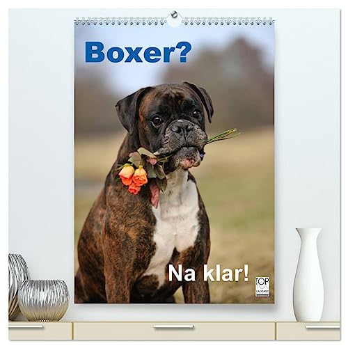 Boxer? Na klar! (hochwertiger Premium Wandkalender 2025 DIN A2 hoch), Kunstdruck in Hochglanz von CALVENDO