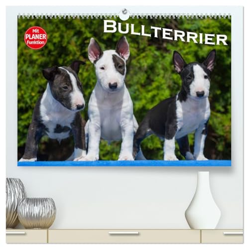 Bullterrier (hochwertiger Premium Wandkalender 2026 DIN A2 quer), Kunstdruck in Hochglanz: Bullterrier von klein bis groß auf 13 wundervollen Fotos (CALVENDO Tiere) von Calvendo