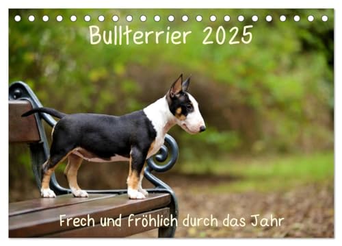 Bullterrier 2025 Frech und fröhlich durch das Jahr (Tischkalender 2025 DIN A5 quer), CALVENDO Monatskalender von CALVENDO