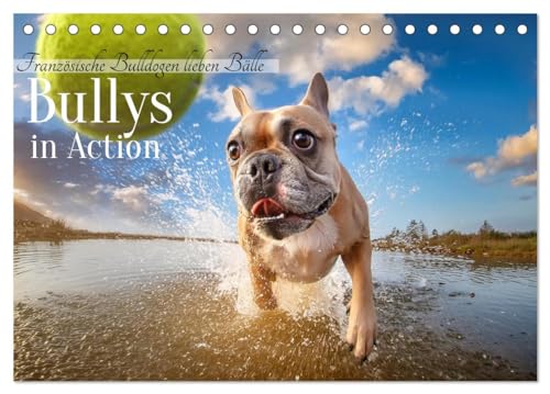 Bullys in Action - Französische Bulldoggen lieben Bälle (Tischkalender 2025 DIN A5 quer), CALVENDO Monatskalender von CALVENDO