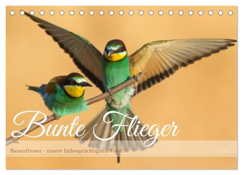 Bunte Flieger (Tischkalender 2026 DIN A5 quer), CALVENDO Monatskalender: Farbenprächtige Vögel in unterschiedlichen Szenen (CALVENDO Tiere) von Calvendo