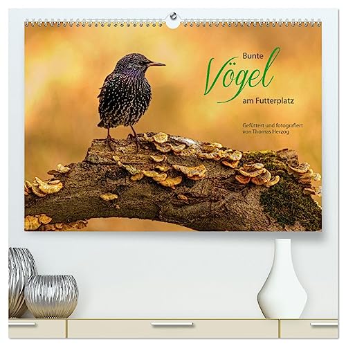 Bunte Vögel am Futterplatz (hochwertiger Premium Wandkalender 2025 DIN A2 quer), Kunstdruck in Hochglanz von CALVENDO