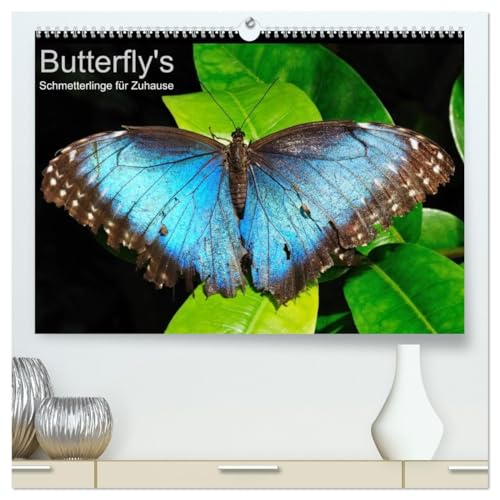 Butterfly's - Schmetterlinge für Zuhause (hochwertiger Premium Wandkalender 2026 DIN A2 quer), Kunstdruck in Hochglanz von CALVENDO
