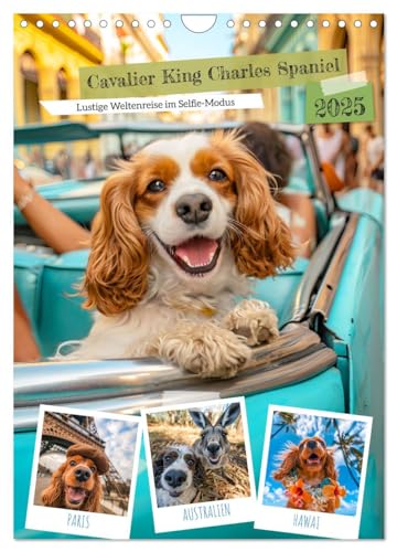 Cavalier King Charles Spaniel - Lustige Weltenreise im Selfie-Modus (Wandkalender 2025 DIN A4 hoch), CALVENDO Monatskalender von CALVENDO