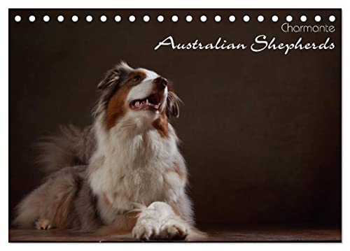 Charmante Australian Shepherds (Tischkalender 2025 DIN A5 quer), CALVENDO Monatskalender von CALVENDO