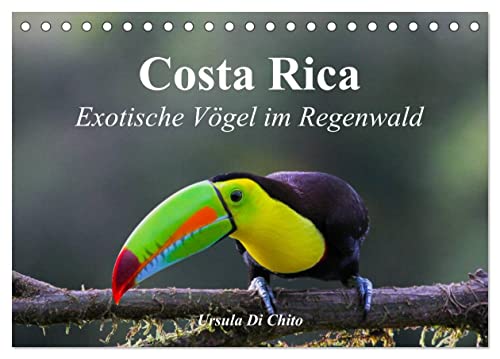 Costa Rica - Exotische Vögel im Regenwald (Tischkalender 2025 DIN A5 quer), CALVENDO Monatskalender von CALVENDO