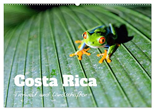 Costa Rica - Tierwelt und Landschaften (Wandkalender 2025 DIN A2 quer), CALVENDO Monatskalender von CALVENDO