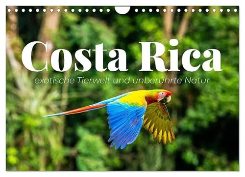Costa Rica - exotische Tierwelt und unberührte Natur (Wandkalender 2026 DIN A4 quer), CALVENDO Monatskalender: Costa Ricas Schönheit in all seinen Facetten (CALVENDO Orte) von Calvendo