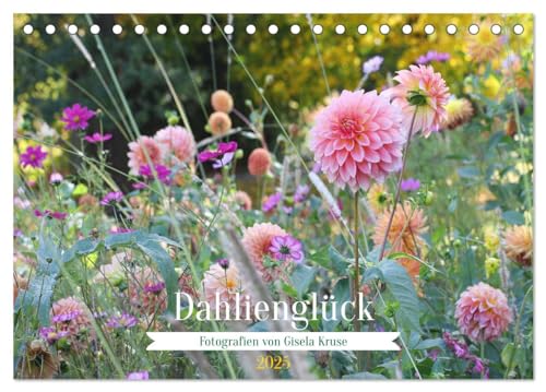 Dahlienglück (Tischkalender 2025 DIN A5 quer), CALVENDO Monatskalender von CALVENDO