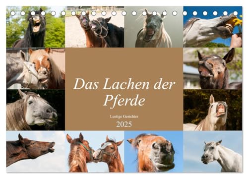 Das Lachen der Pferde - Lustige Gesichter (Tischkalender 2025 DIN A5 quer), CALVENDO Monatskalender von CALVENDO