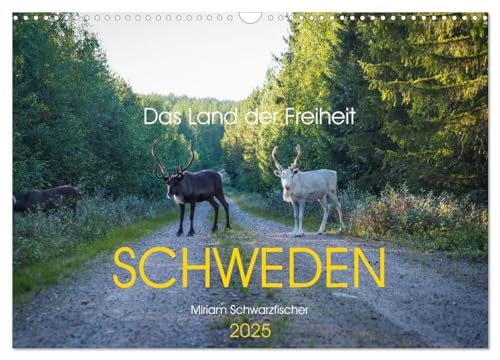 Das Land der Freiheit Schweden (Wandkalender 2025 DIN A3 quer), CALVENDO Monatskalender von CALVENDO
