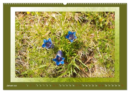 Das vergessene Tal. Schnalstal - Val Senales (Wandkalender 2026 DIN A2 quer), CALVENDO Monatskalender von CALVENDO
