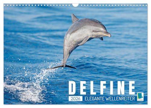 Delfine: Elegante Wellenreiter (Wandkalender 2026 DIN A3 quer), CALVENDO Monatskalender von CALVENDO