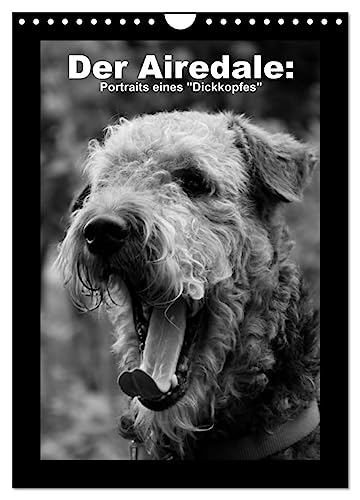 Der Airedale: Portraits eines "Dickkopfes" (Wandkalender 2025 DIN A4 hoch), CALVENDO Monatskalender