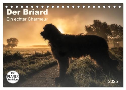 Der Briard 2025 - Ein echter Charmeur (Tischkalender 2025 DIN A5 quer), CALVENDO Monatskalender von CALVENDO
