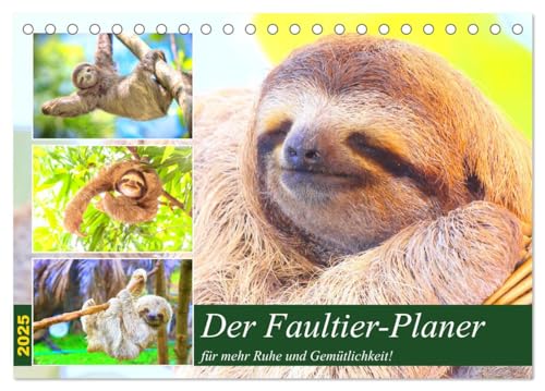 Der Faultier-Planer für mehr Ruhe und Gemütlichkeit! (Tischkalender 2025 DIN A5 quer), CALVENDO Monatskalender von CALVENDO