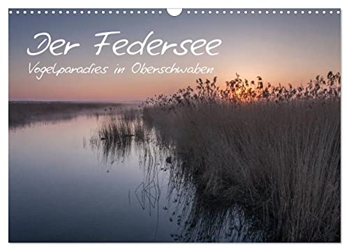 Der Federsee - Vogelparadies in Oberschwaben (Wandkalender 2025 DIN A3 quer), CALVENDO Monatskalender von CALVENDO
