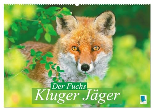 Der Fuchs: Kluger Jäger (Wandkalender 2025 DIN A2 quer), CALVENDO Monatskalender von CALVENDO
