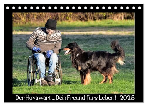 Der Hovawart... Dein Freund fürs Leben ! (Tischkalender 2025 DIN A5 quer), CALVENDO Monatskalender von CALVENDO