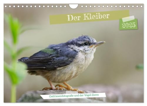 Der Kleiber - Ostfriesenfotografie und der Vogel-Zorro (Wandkalender 2025 DIN A4 quer), CALVENDO Monatskalender von CALVENDO