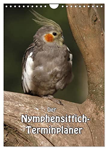 Der Nymphensittich-Terminplaner (Wandkalender 2025 DIN A4 hoch), CALVENDO Monatskalender von CALVENDO