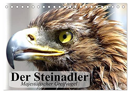 Der Steinadler. Majestätischer Greifvogel (Tischkalender 2025 DIN A5 quer), CALVENDO Monatskalender von CALVENDO