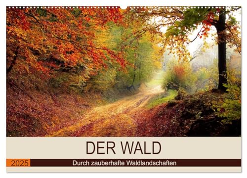 Der Wald. Durch zauberhafte Waldlandschaften (Wandkalender 2025 DIN A2 quer), CALVENDO Monatskalender von CALVENDO