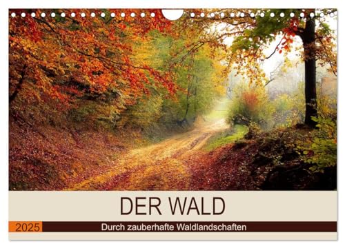 Der Wald. Durch zauberhafte Waldlandschaften (Wandkalender 2025 DIN A4 quer), CALVENDO Monatskalender von CALVENDO